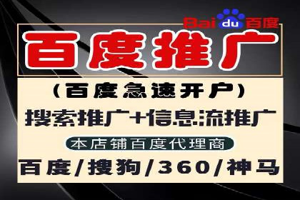 搜索引擎竞价推广：某行业领先企业的成功之路